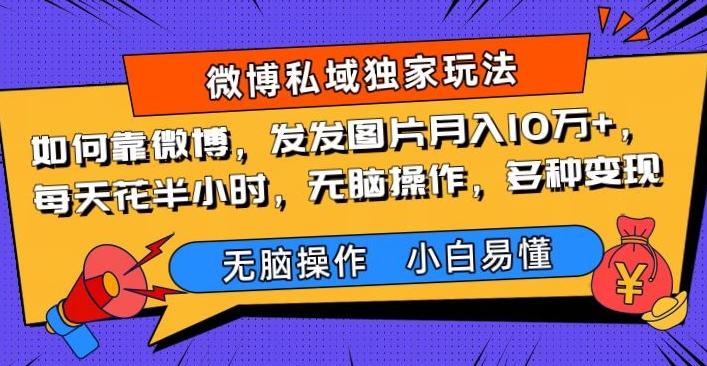 如何靠微博，发发图片月入10万+，‌每天花半小时，无脑操作，多种变现-木白网创