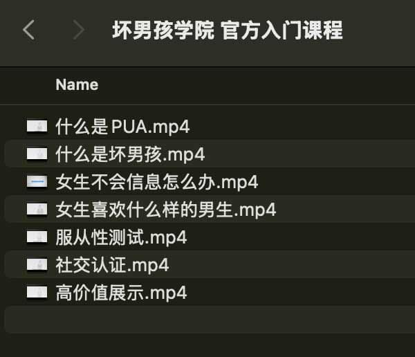 坏男孩学院 官方入门课程-木白网创