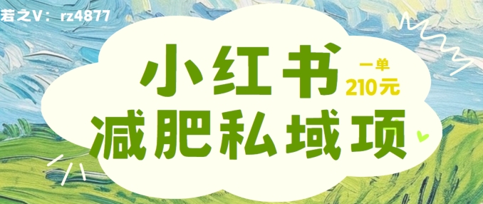 小红书减肥粉，私域变现项目，一单就达210元，小白也能轻松上手【揭秘】-木白网创