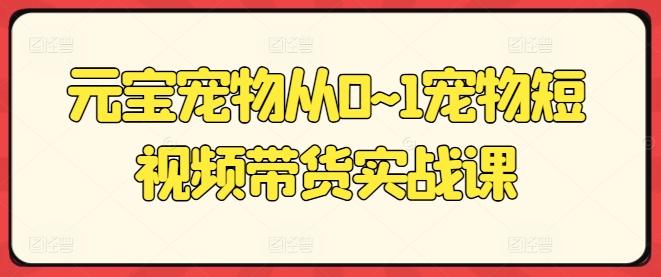 元宝宠物从0~1宠物短视频带货实战课-木白网创