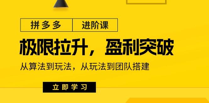 拼多多·进阶课：极限拉升/盈利突破：从算法到玩法 从玩法到团队搭建-18节-木白网创