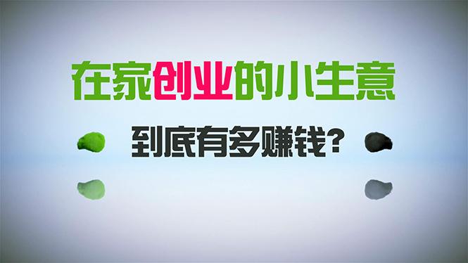 在家创业，日引300+创业粉，一年收入30万，闷声发财的小生意，比打工强-木白网创