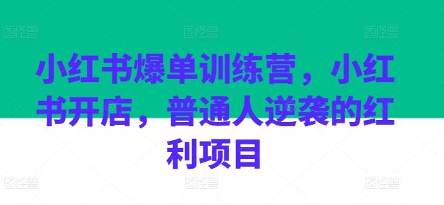 小红书爆单训练营，小红书开店，普通人逆袭的红利项目-木白网创