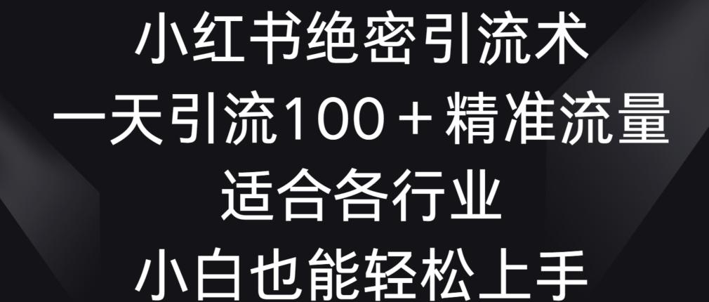 小红书绝密引流术，一天引流100+精准流量，适合各个行业，小白也能轻松上手【揭秘】-木白网创