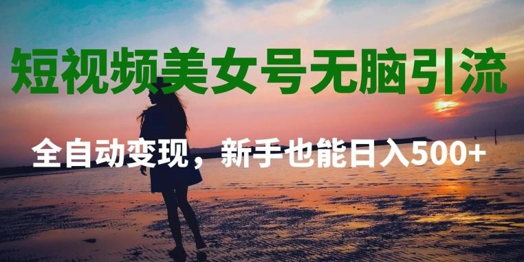 短视频美女号无脑引流，全自动变现，新手也能日入500+-木白网创