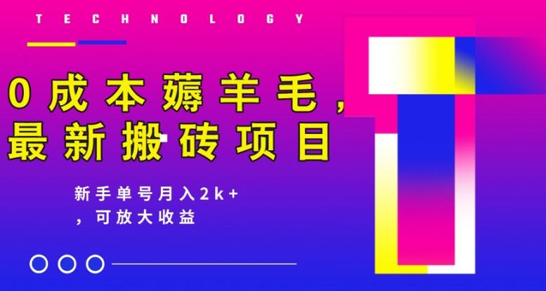 0成本薅羊毛，最新搬砖项目，新手单号月入2k+，可放大操作-木白网创