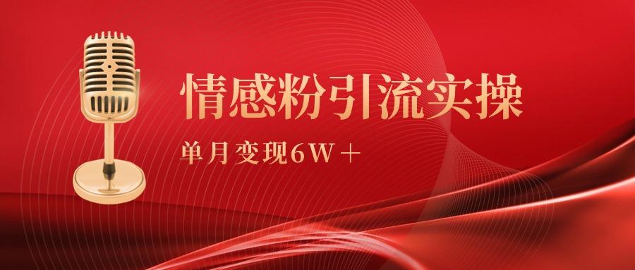 (9473期)单月变现6w+，情感粉引流变现实操课-木白网创