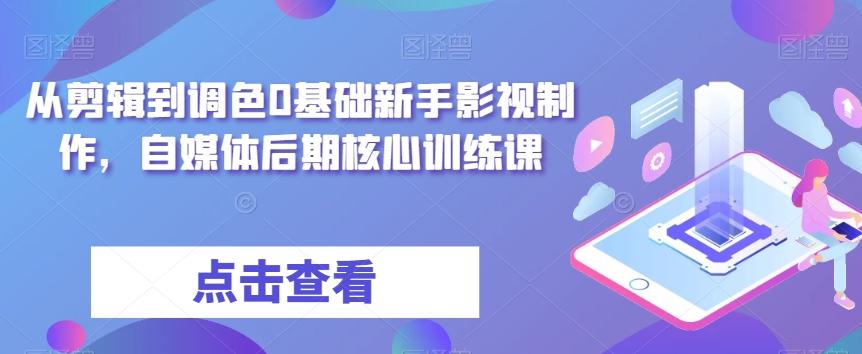 从剪辑到调色0基础新手影视制作，自媒体后期核心训练课-木白网创