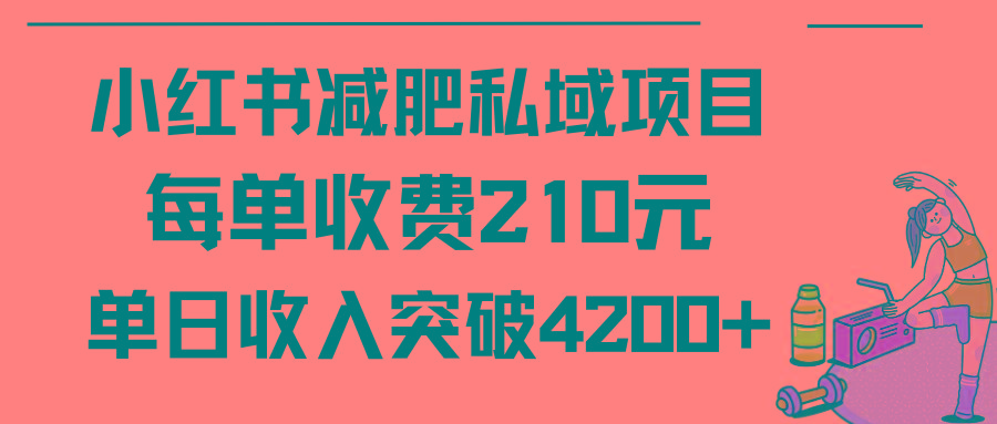 (9466期)小红书减肥私域项目每单收费210元单日成交20单，最高日入4200+-木白网创