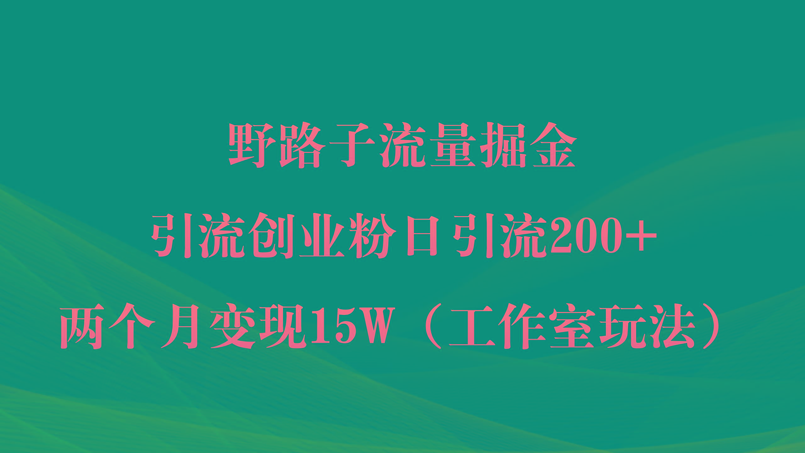(9513期)野路子流量掘金，引流创业粉日引流200+，两个月变现15W(工作室玩法))-木白网创