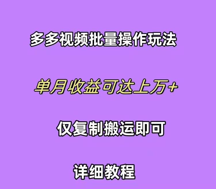 (10029期)拼多多视频带货快速过爆款选品教程 每天轻轻松松赚取三位数佣金 小白必…-木白网创