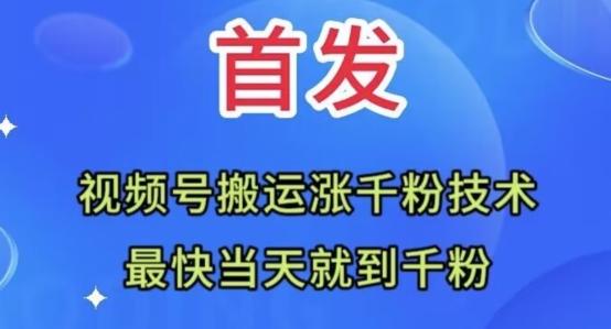 全网首发：视频号无脑搬运涨千粉技术，最快当天到千粉【揭秘】-木白网创
