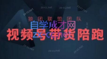狼团联盟·2024视频号带货-木白网创