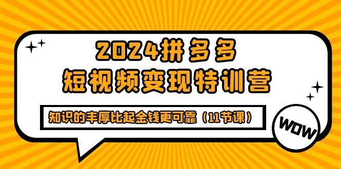 (9817期)2024拼多多短视频变现特训营，知识的丰厚比起金钱更可靠(11节课)-木白网创