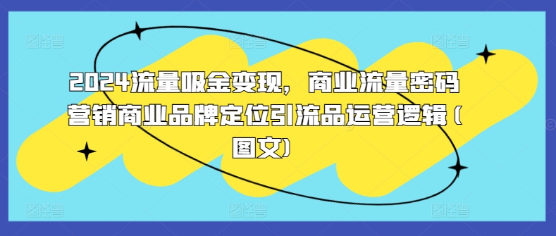 2024流量吸金变现，商业流量密码营销商业品牌定位引流品运营逻辑(图文)-木白网创