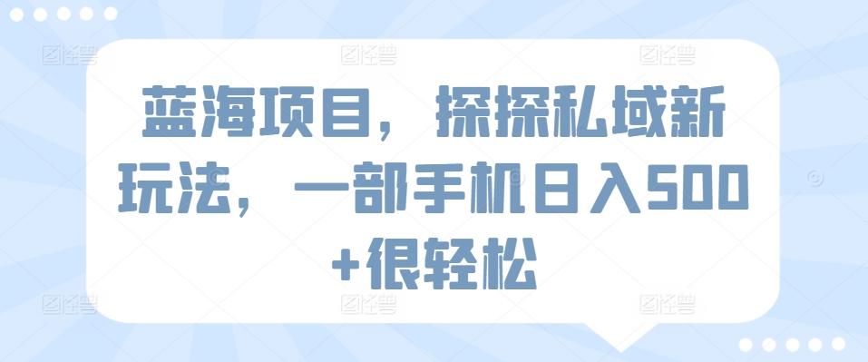 蓝海项目，探探私域新玩法，一部手机日入500+很轻松【揭秘】-木白网创