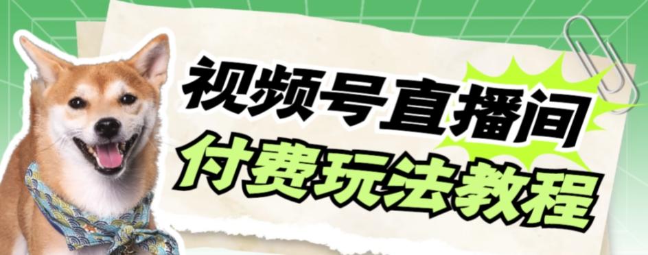 视频号美女付费无人直播，轻松日入500+【详细玩法教程】-木白网创