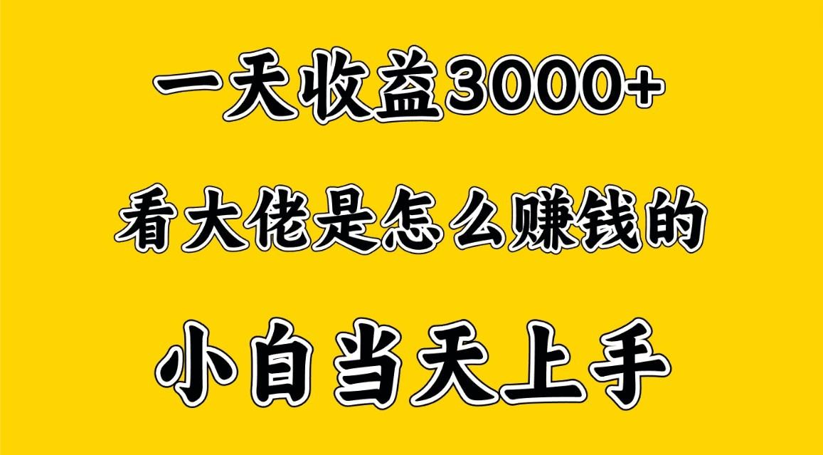 一天赚3000多，大佬是这样赚到钱的，小白当天上手，穷人翻身项目-木白网创