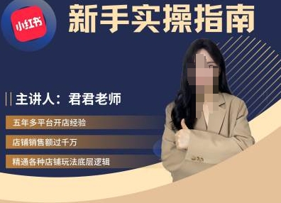 君君-小红书电商从入门到精通，新手实操指南-木白网创