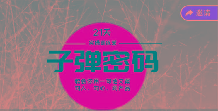 《子弹密码训练营》-用一句话文案勾人勾心卖产品，21天学到顶尖文案大师策略和技巧-木白网创