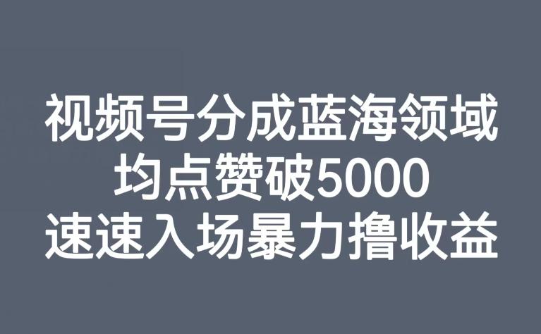 视频号分成蓝海领域，均点赞破5000，速速入场暴力撸收益-木白网创