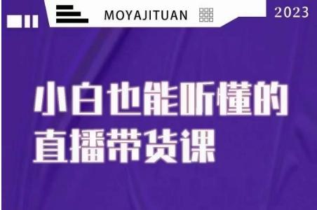 大威本威·能听懂的直播带货课，小白也能听懂，20节完整-木白网创