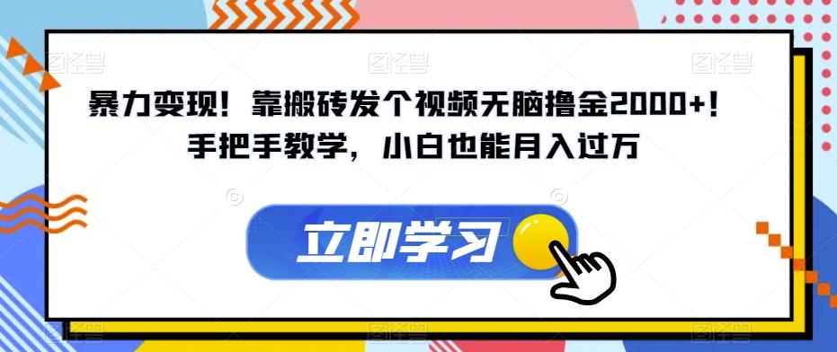 暴力变现！靠搬砖发个视频无脑撸金2000+！手把手教学，小白也能月入过万【揭秘】-木白网创