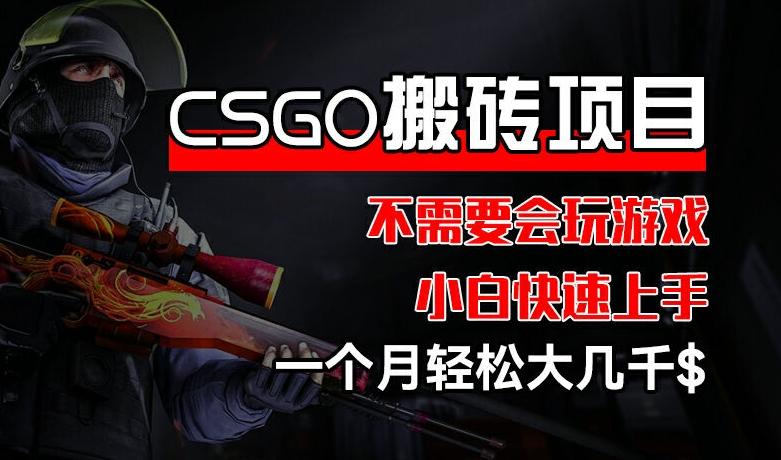 CSGO 装备搬砖项目，操作简单，不需要会玩游戏，小白也能快速上手，一个月轻松大几千【揭秘】-木白网创