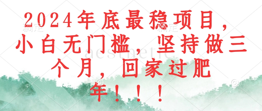 2024年底最稳项目，小白无门槛，坚持做三个月，回家过肥年！！！-木白网创