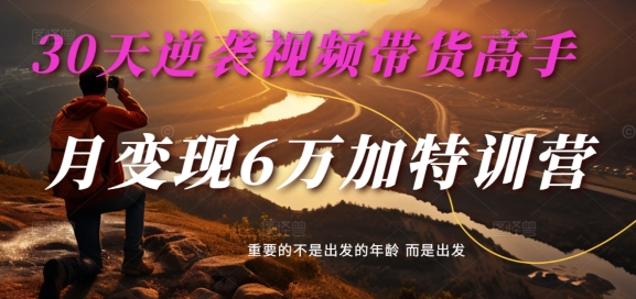 30天逆袭视频带货高手，单月变现6万加特训营-麦子甜-木白网创