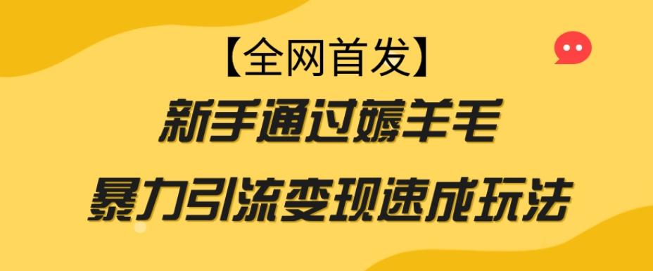 【全网首发】新手通过薅羊毛暴力引流变现速成玩法-木白网创