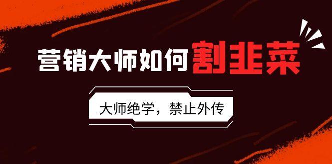 营销大师如何割韭菜：流量大师/讲故事大师/话术大师/卖货大师/成交大师/…-木白网创