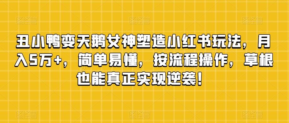 丑小鸭变天鹅女神塑造小红书玩法，月入5万+，简单易懂，按流程操作，草根也能真正实现逆袭！-木白网创