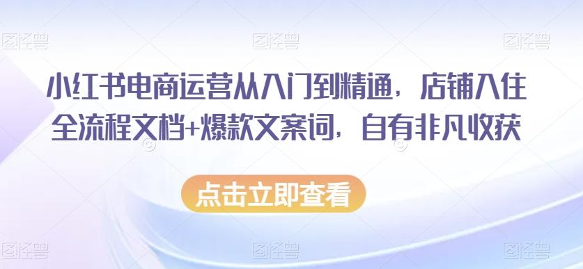 小红书电商运营从入门到精通，店铺入住全流程文档+爆款文案词，自有非凡收获-木白网创