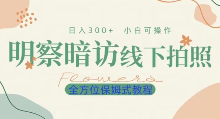 明拍暗拍项目0成本投入日入300+小白可操作保姆式全方位教程-木白网创