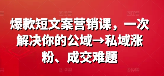 爆款短文案营销课，一次解决你的公域→私域涨粉、成交难题-木白网创