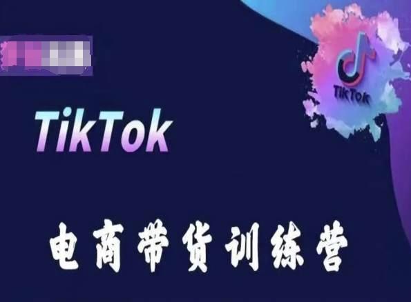 TikTok电商带货训练营，跟随时代潮流，跨境掘金-木白网创