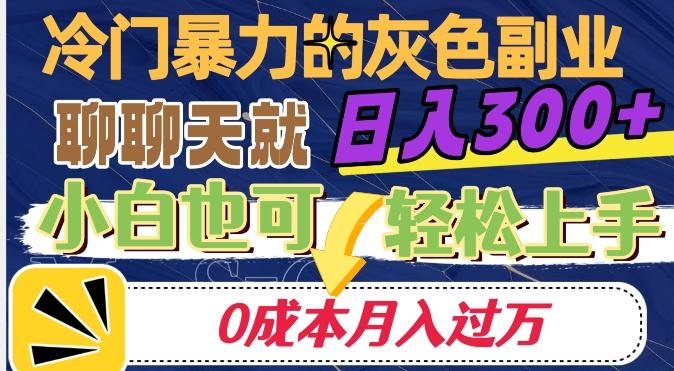 冷门暴利的副业项目，聊聊天就能日入300+，0成本月入过万【揭秘】-木白网创