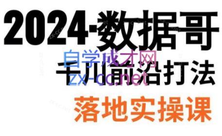 数据哥·2024年千川前沿打法落地实操课-木白网创