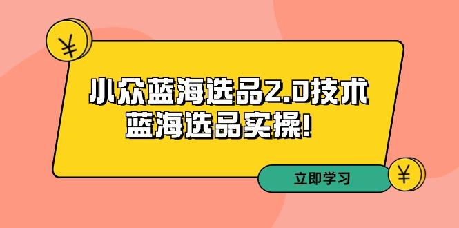 拼多多培训第33期：小众蓝海选品2.0技术-蓝海选品实操！-木白网创