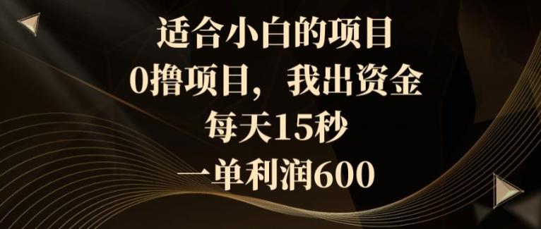 适合小白的项目，0撸项目，我出资金，每天15秒，一单利润600-木白网创