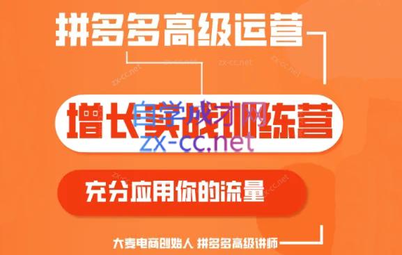 大麦老师·拼多多单品爆款打造课程(更新6月)-木白网创