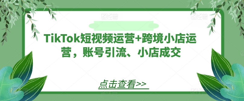 TikTok短视频运营+跨境小店运营，账号引流、小店成交-木白网创