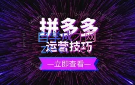 力辛电商·拼多多强付费店群玩法-木白网创