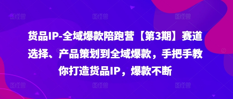货品IP全域爆款陪跑营【第3期】赛道选择、产品策划到全域爆款，手把手教你打造货品IP，爆款不断-木白网创