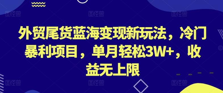 外贸尾货蓝海变现新玩法，冷门暴利项目，单月轻松3W+，收益无上限【揭秘】-木白网创