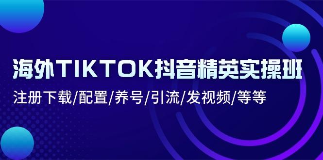 海外TIKTOK抖音精英实操班：注册下载/配置/养号/引流/发视频/等等-木白网创