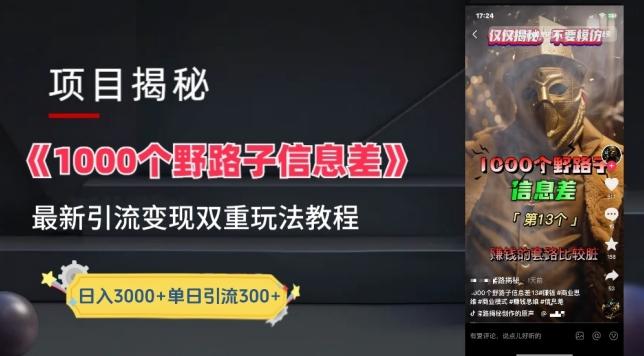一千个野路子信息差最新玩法教程-变现+引流的玩法具体拆解【揭秘】-木白网创