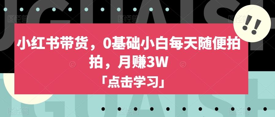 小红书带货，0基础小白每天随便拍拍，月赚3W【揭秘】-木白网创