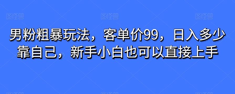 男粉粗暴玩法，客单价99，日入多少靠自己，新手小白也可以直接上手-木白网创